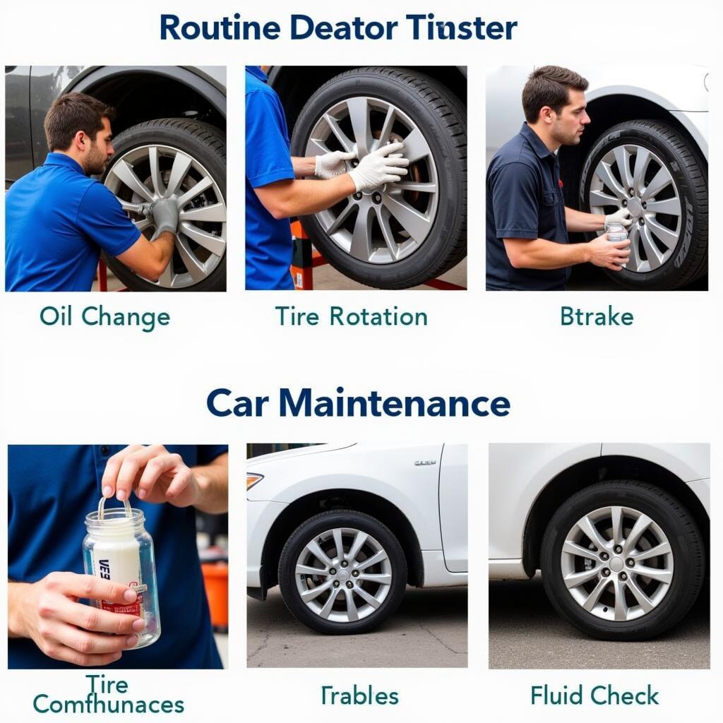 Routine Car Maintenance Tasks