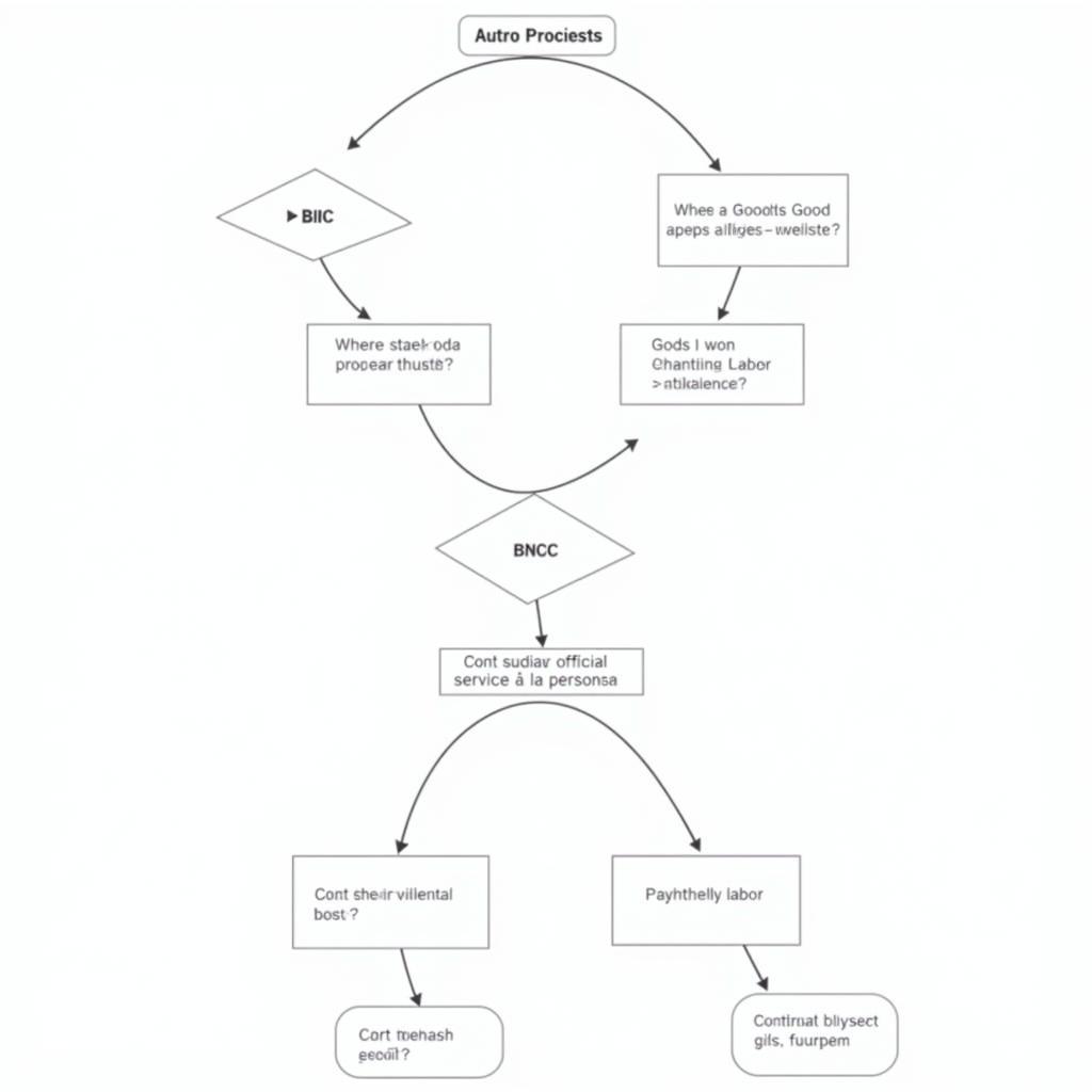 Flowchart for Determining BIC or BNC for Auto Entrepreneurs