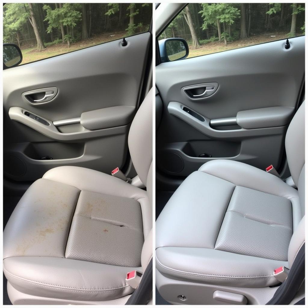 Comparing DIY and Professional Interior Auto Cleaning Results