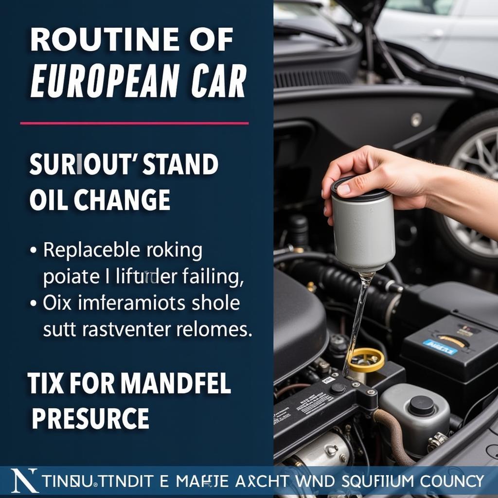 Routine Maintenance on a European Car