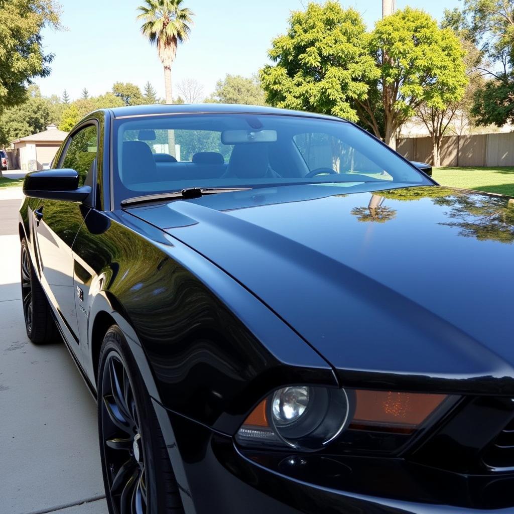 Exterior Auto Detailing in Garden Grove, CA