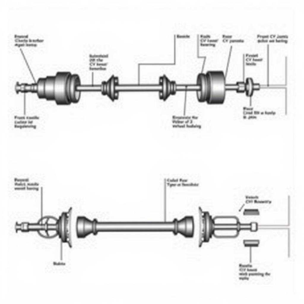 Front and Rear Axle Diagram