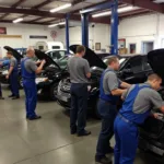 Experienced and Certified Technicians