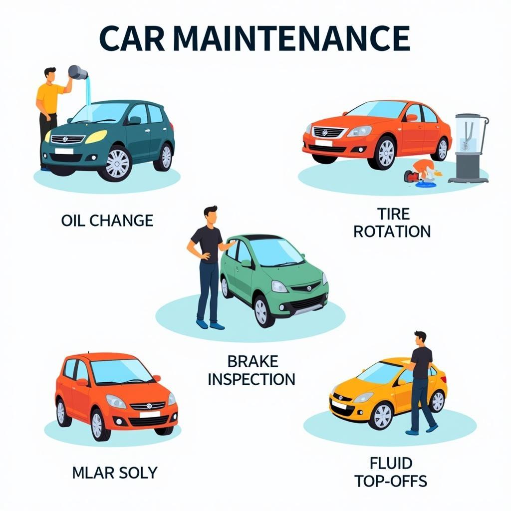 Nationwide Auto Service Maintenance Options