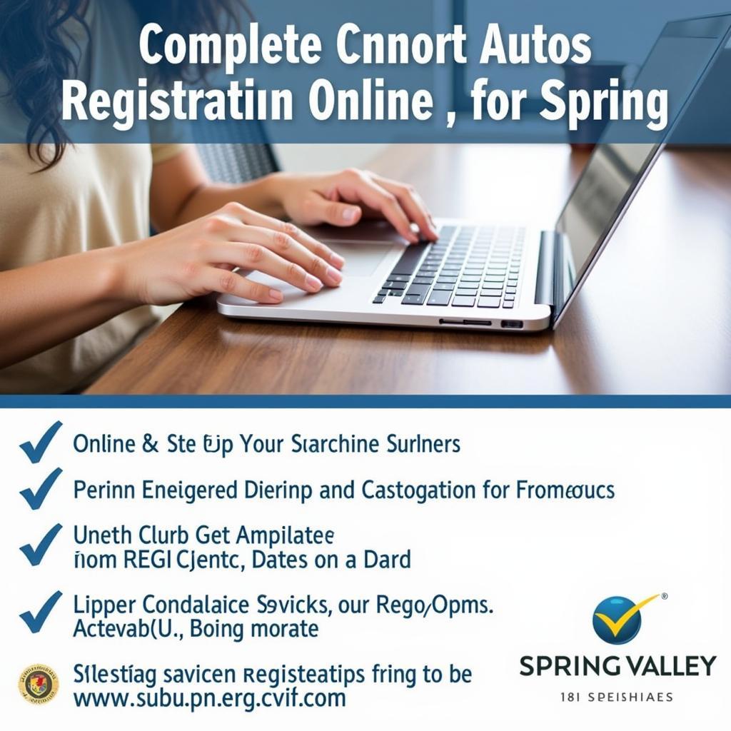 Online Auto Registration Spring Valley