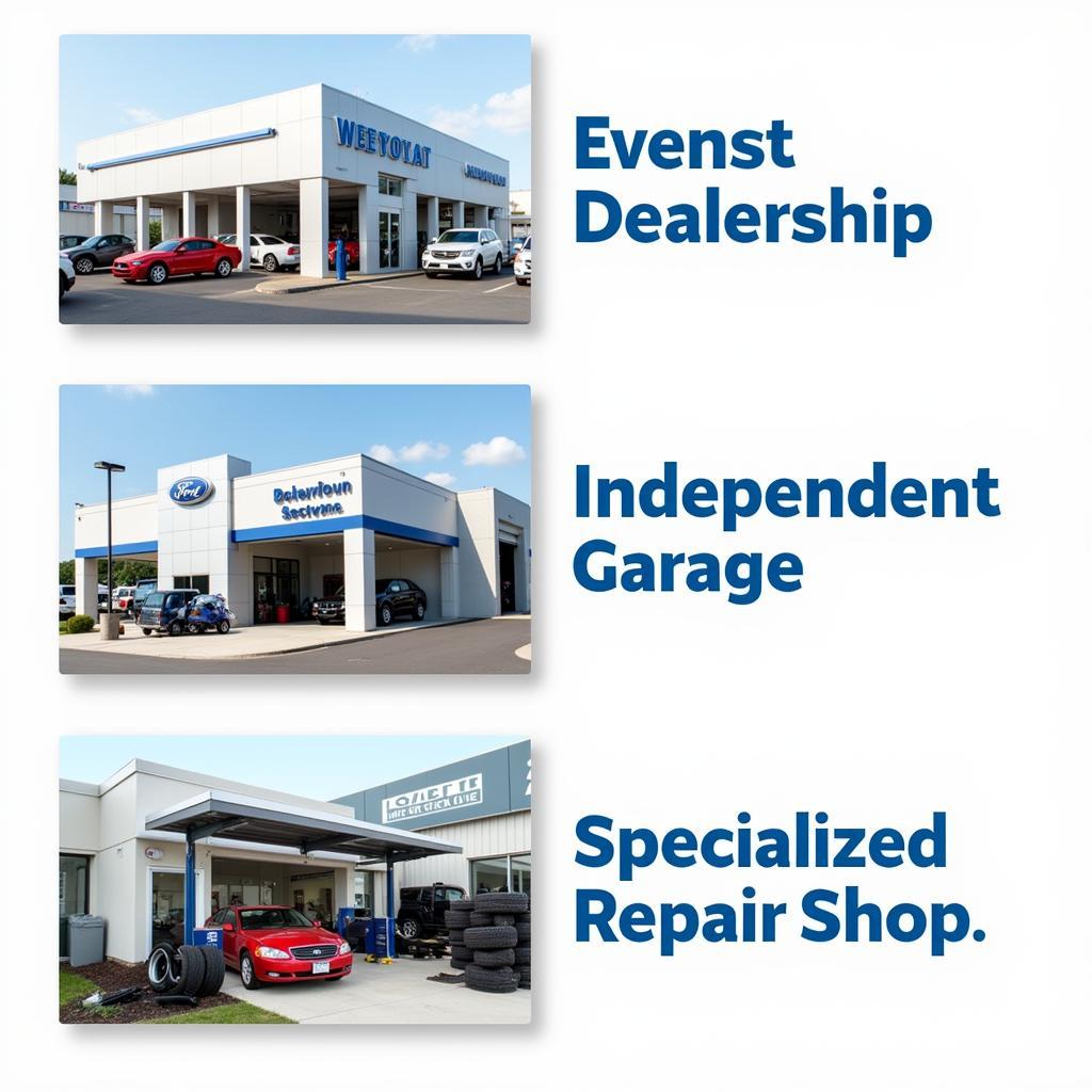 Ridgefield Auto Service Options