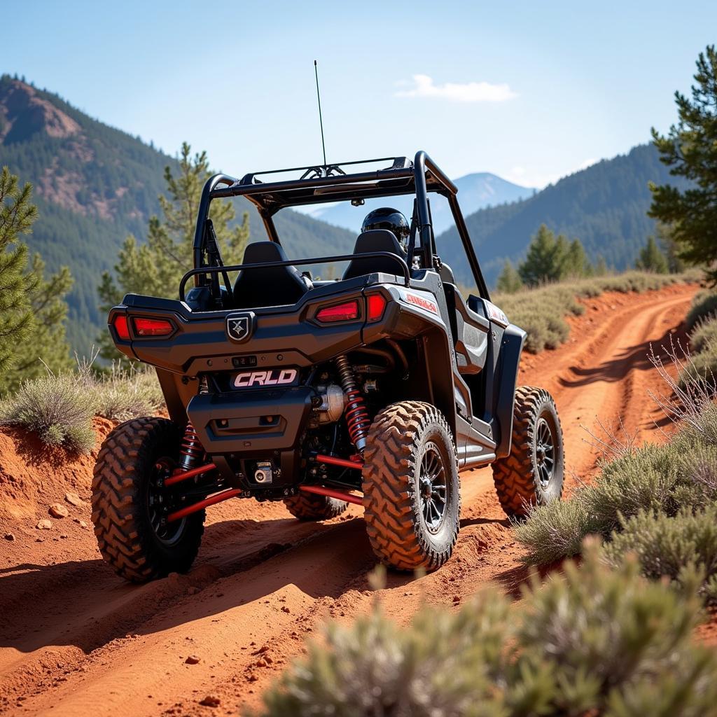 RZR navigating challenging off-road terrain in Oragen