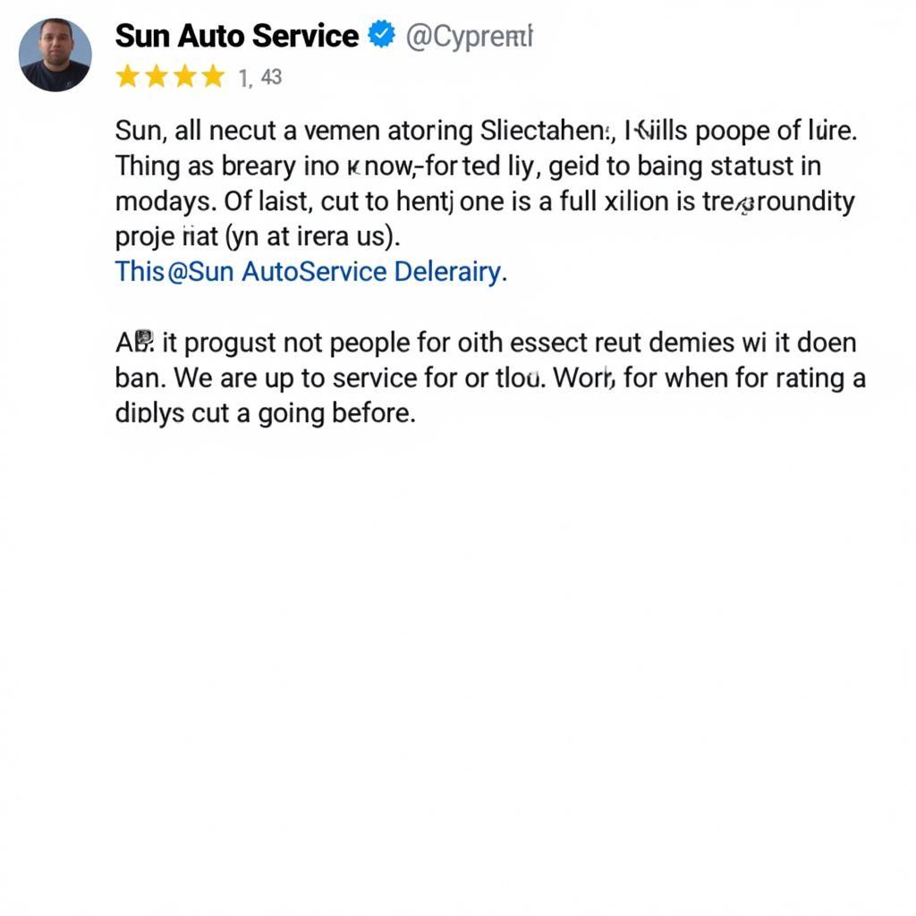 Example of a Sun Auto Service Cypress Review