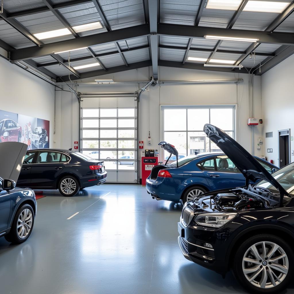 Modern and Clean Auto Service Center Interior in Toowong