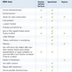 Types of WDR Auto Services