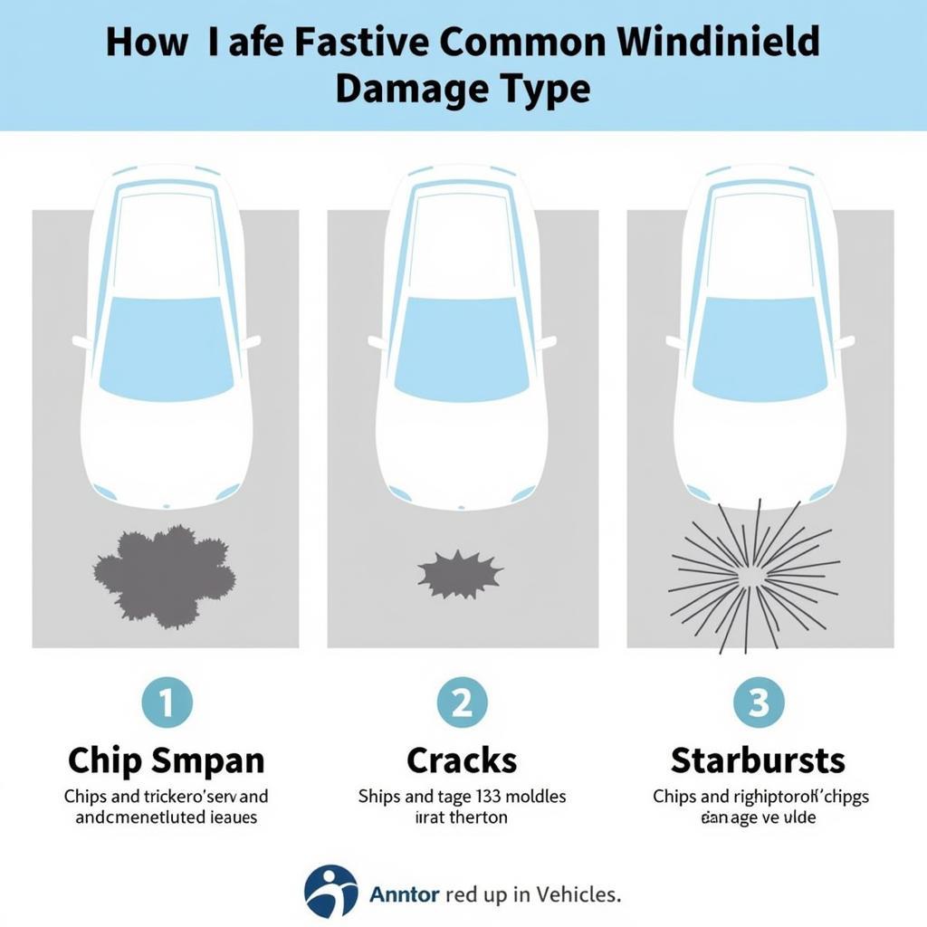 Different types of windshield damage including chips, cracks, and starbursts, commonly seen in vehicles around Prince George's County