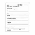 Example of Auto Check Service Records