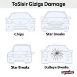 Different Types of Auto Glass Damage