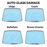 Types of Auto Glass Damage