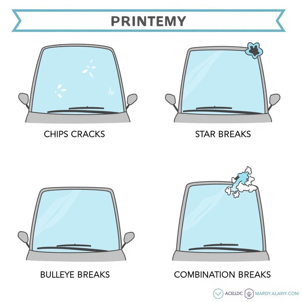 Types of Auto Glass Damage