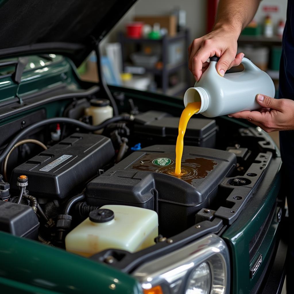 Land Rover fluid change service