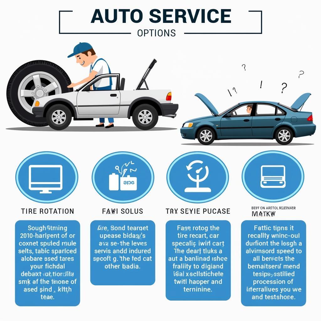 Plano Auto Service Options