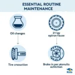 Routine maintenance tasks for Rios auto service