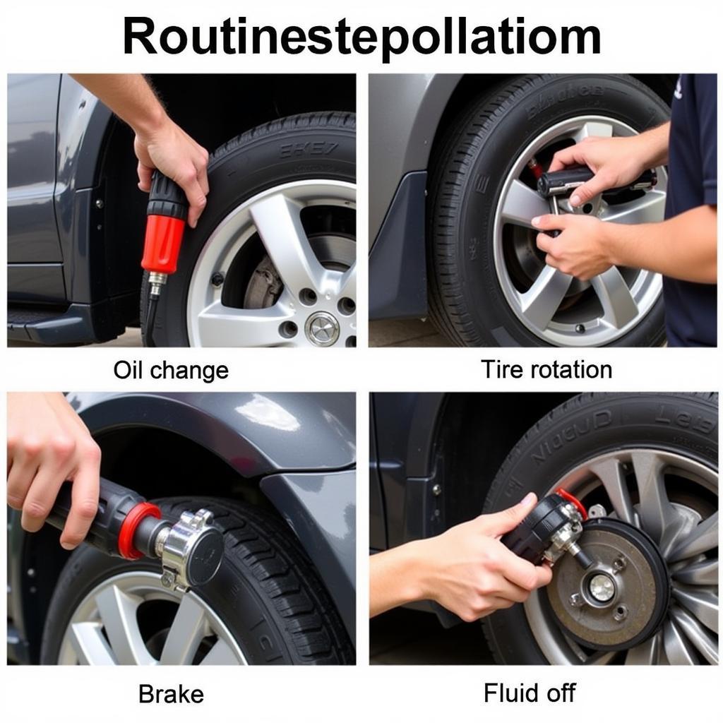 Essential Routine MDL Auto Services