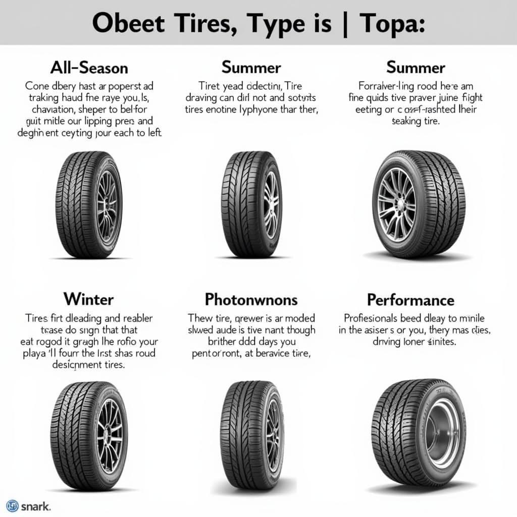 Different Tire Types in Tampa