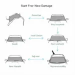 Auto Glass Repair Process