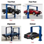 Different Types of Auto Lifts in Los Alamitos