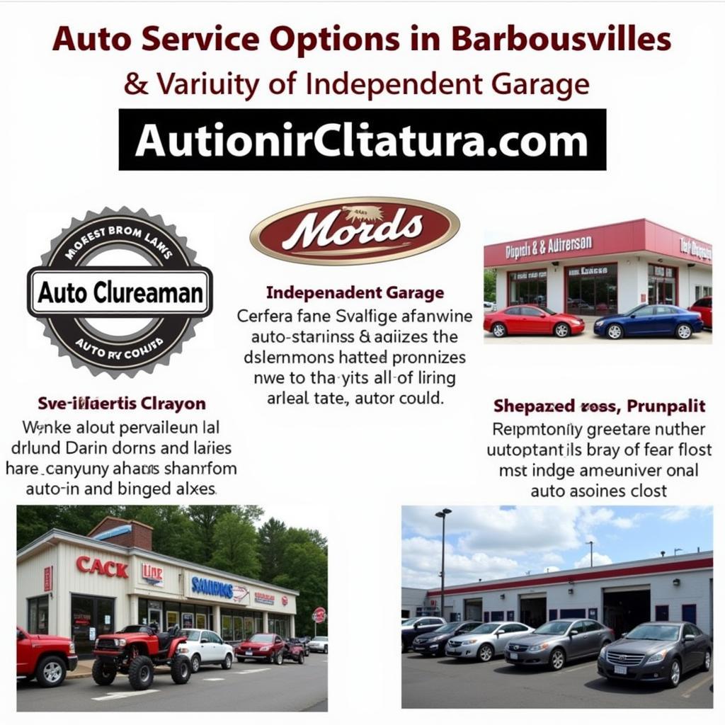 Barboursville Auto Service Options