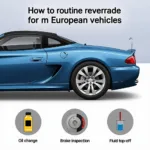 Routine Maintenance for a European Car