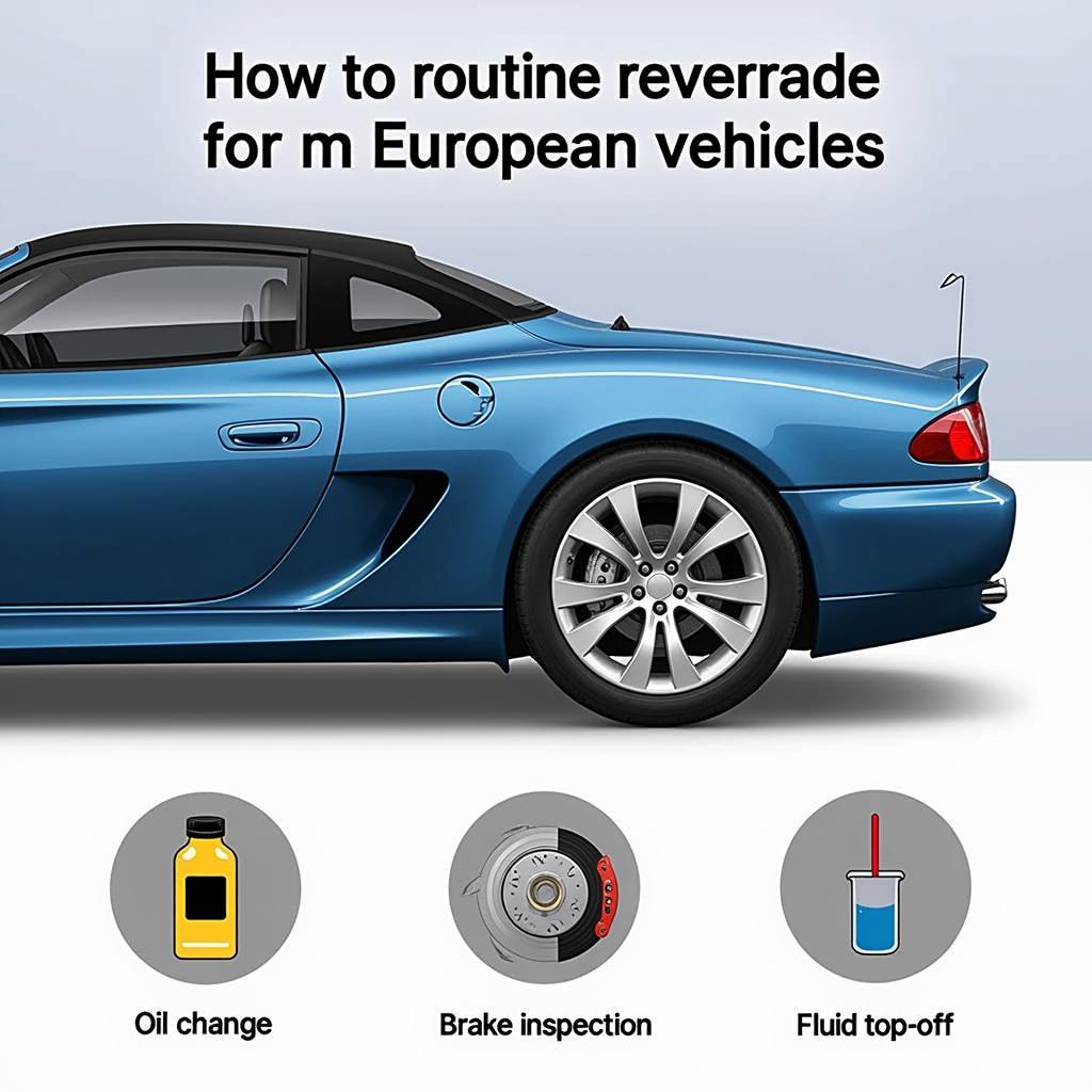 Routine Maintenance for a European Car